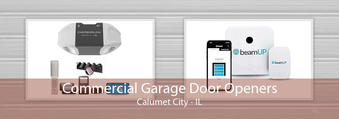 Commercial Garage Door Openers Calumet City - IL