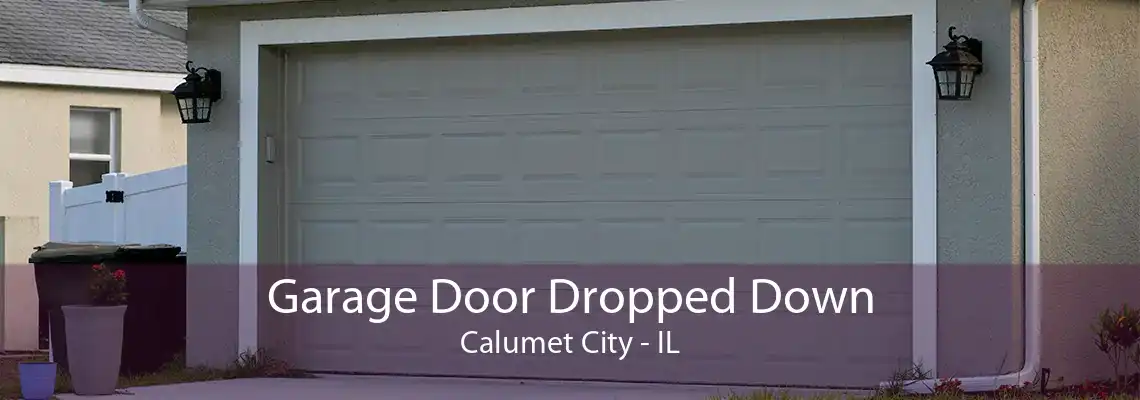 Garage Door Dropped Down Calumet City - IL