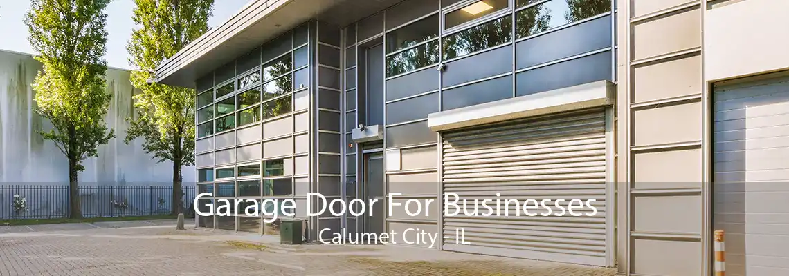 Garage Door For Businesses Calumet City - IL