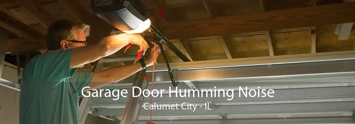 Garage Door Humming Noise Calumet City - IL