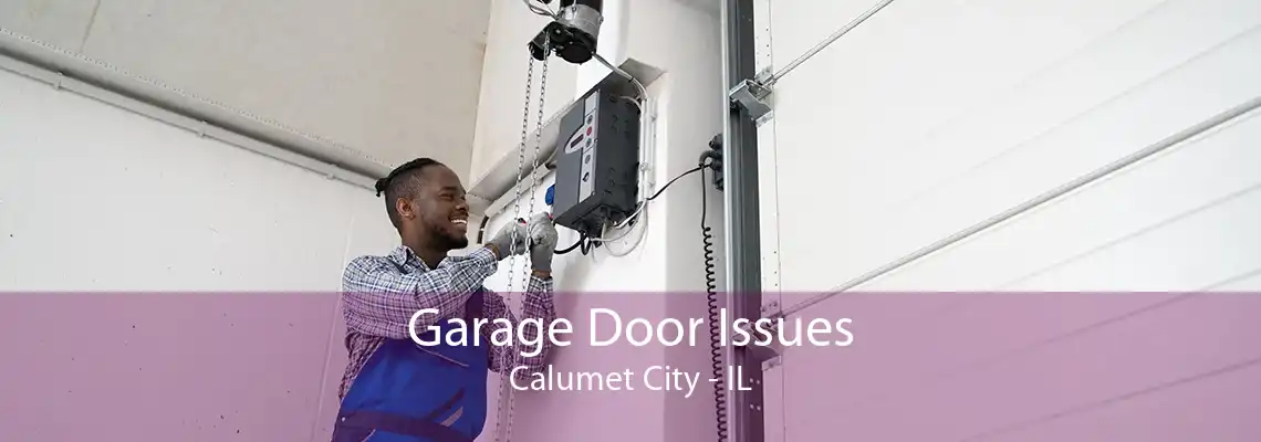 Garage Door Issues Calumet City - IL