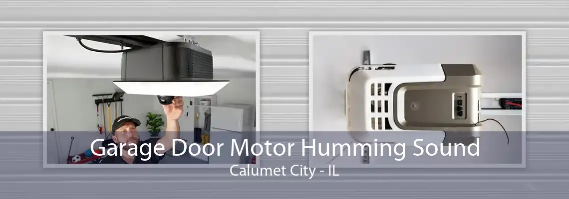 Garage Door Motor Humming Sound Calumet City - IL