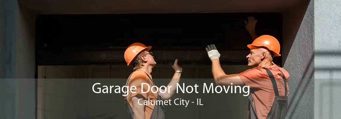 Garage Door Not Moving Calumet City - IL