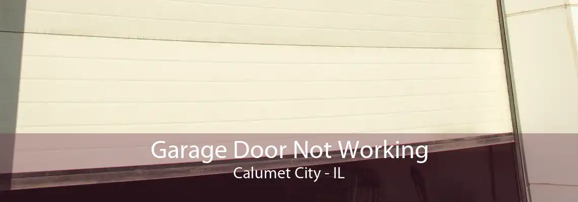 Garage Door Not Working Calumet City - IL