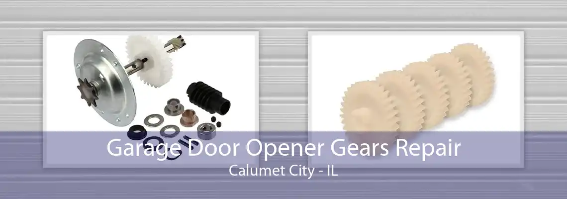 Garage Door Opener Gears Repair Calumet City - IL