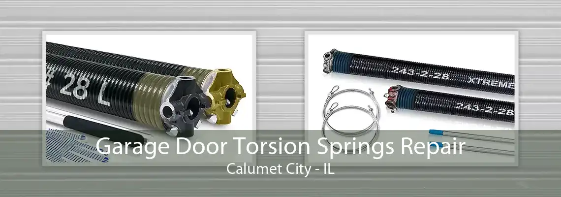 Garage Door Torsion Springs Repair Calumet City - IL