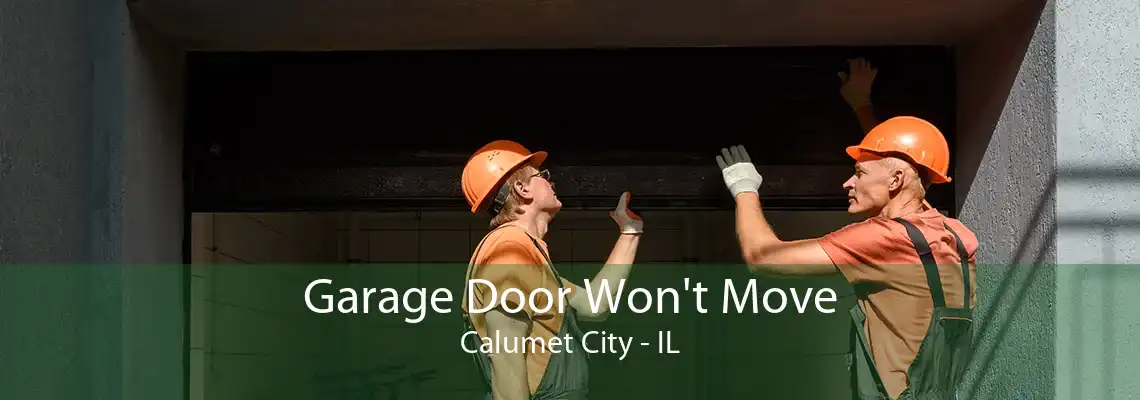 Garage Door Won't Move Calumet City - IL