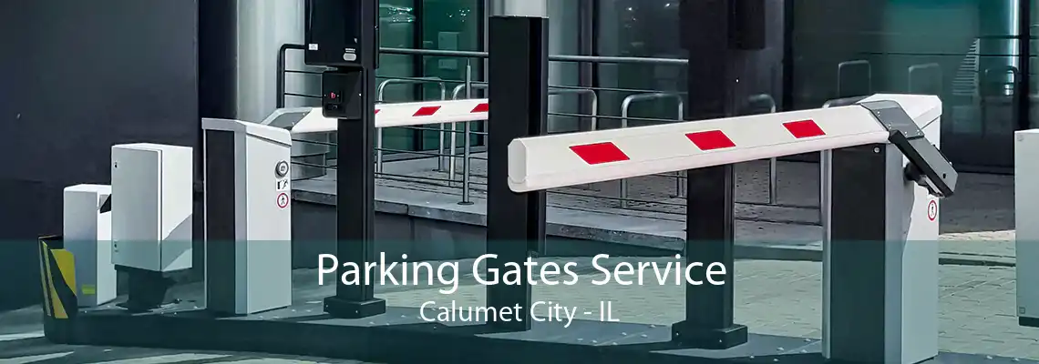 Parking Gates Service Calumet City - IL